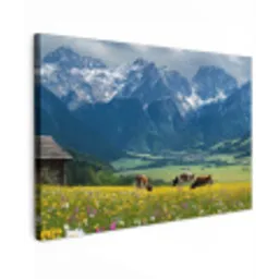 Alpen - Weide - Bergen - Koeien canvas 2cm klein -z3d