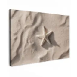 Strand - Zeester - Zand - Beige canvas 2cm klein -z3d