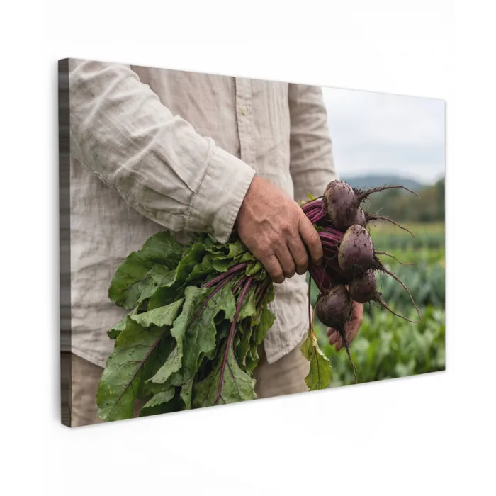 Bieten - Vers - Moestuin canvas 2cm klein -z3d