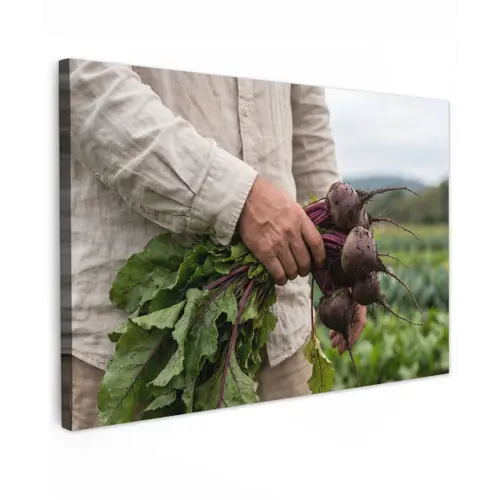 Bieten - Vers - Moestuin canvas 2cm klein -z3d