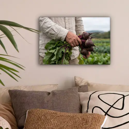 Bieten - Vers - Moestuin canvas 2cm klein -sfeer1