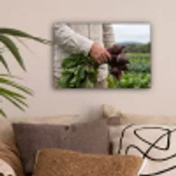Bieten - Vers - Moestuin canvas 2cm klein -sfeer1
