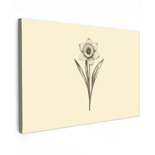 Zwart - Narcis - Illustratie canvas 2cm klein -z3d