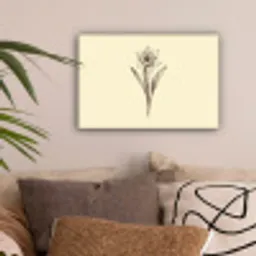 Zwart - Narcis - Illustratie canvas 2cm klein -sfeer1