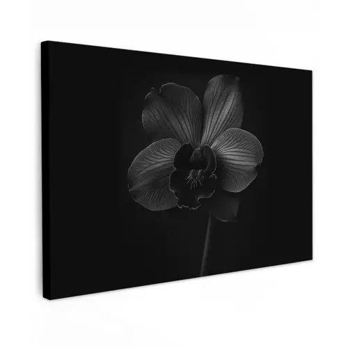 Zwart - Bloem - Orchidee canvas 2cm klein -z3d