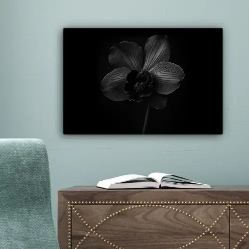 Zwart - Bloem - Orchidee canvas 2cm klein -sfeer4