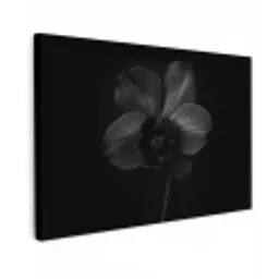 Zwart - Bloem - Orchidee canvas 2cm klein -z3d