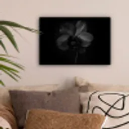Zwart - Bloem - Orchidee canvas 2cm klein -sfeer1