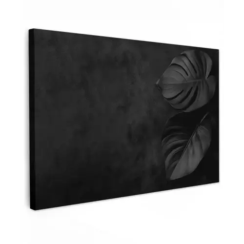 Zwart - Blad - Monstera canvas 2cm klein -z3d