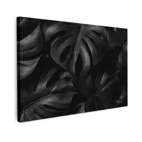 Zwart - Monstera - Bladeren canvas 2cm klein -z3d