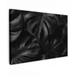 Zwart - Monstera - Bladeren canvas 2cm klein -z3d