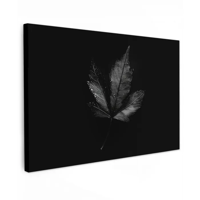 Zwart - Blad canvas 2cm klein -z3d