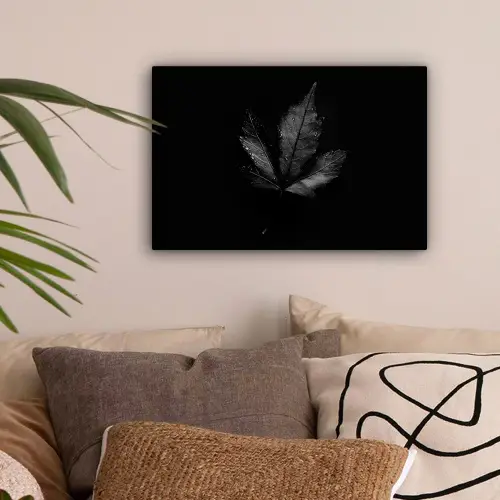 Zwart - Blad canvas 2cm klein -sfeer1