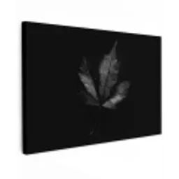 Zwart - Blad canvas 2cm klein -z3d