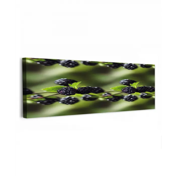 Bramen - Bladeren - Tros canvas 2cm klein 828 -z3d