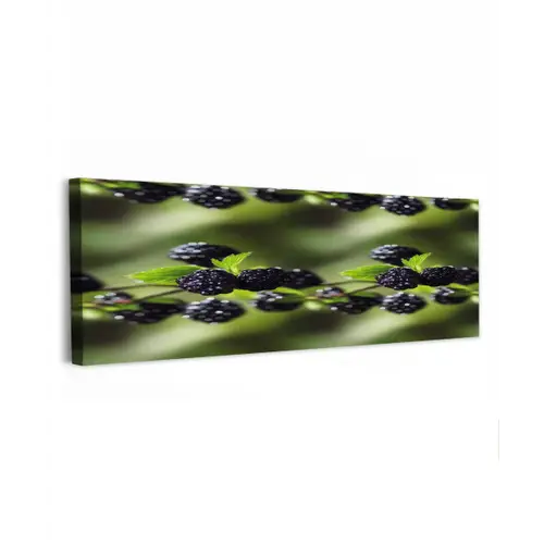 Bramen - Bladeren - Tros canvas 2cm klein 828 -z3d