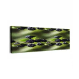 Bramen - Bladeren - Tros canvas 2cm klein 828 -z3d