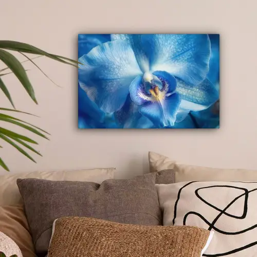 Blauw - Orchidee - Elegeant canvas 2cm klein -sfeer1