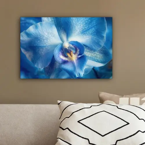 Blauw - Orchidee - Elegeant canvas 2cm klein -sfeer3
