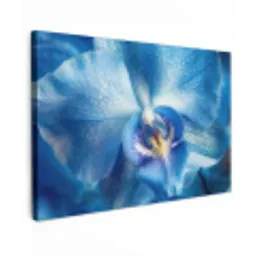 Blauw - Orchidee - Elegeant canvas 2cm klein -z3d