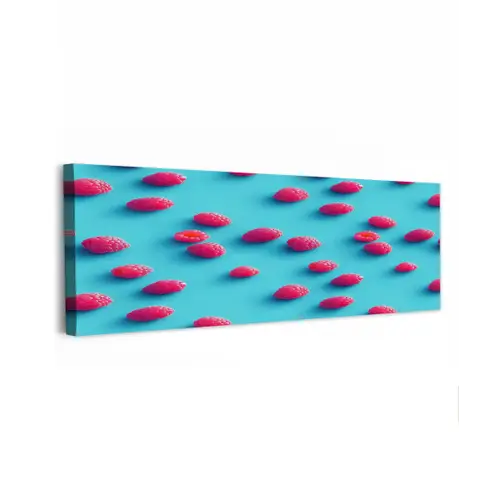 Blauw - Frambozen - Roze canvas 2cm klein 828 -z3d