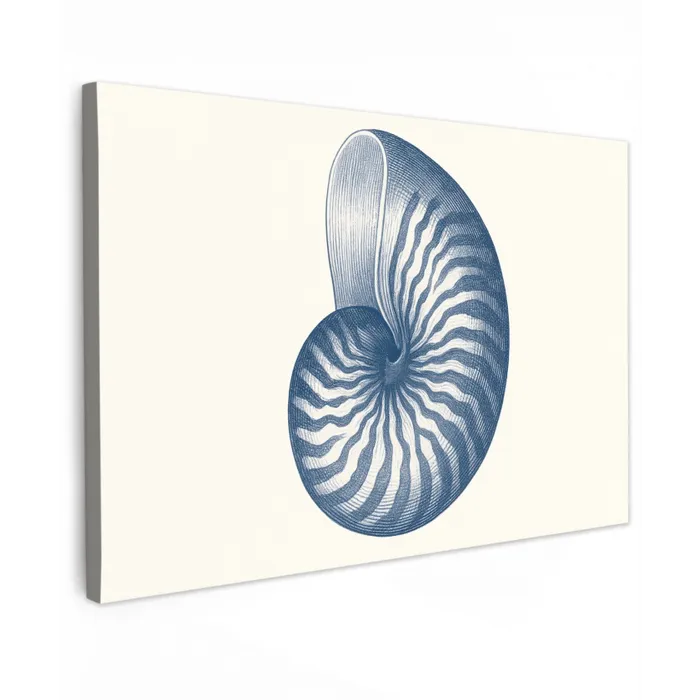 Blauw - Schelp - Spiraal canvas 2cm klein -z3d