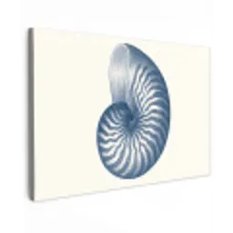 Blauw - Schelp - Spiraal canvas 2cm klein -z3d