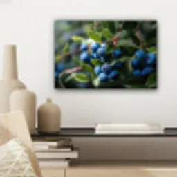 Blauwe bessen - Dauwdruppels - Natuurlijk licht canvas 2cm klein -sfeer6