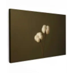 Takken - Katoen - Wit - Bollen canvas 2cm klein -z3d