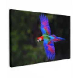 Felgekleurd - Papegaai - Bos - Vleugels canvas 2cm klein -z3d