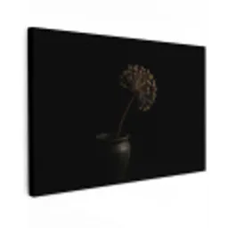 Bol - Gedroogd - Vaas - Zwart canvas 2cm klein -z3d