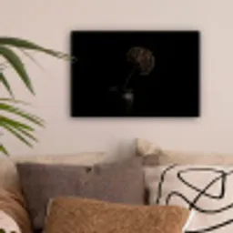 Bol - Gedroogd - Vaas - Zwart canvas 2cm klein -sfeer1