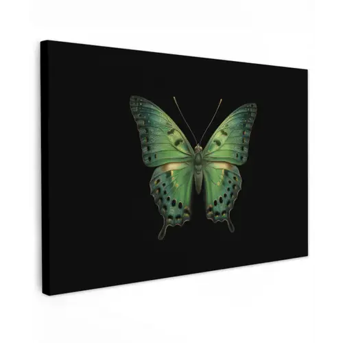 Vlinder - Groen - Diepte canvas 2cm klein -z3d