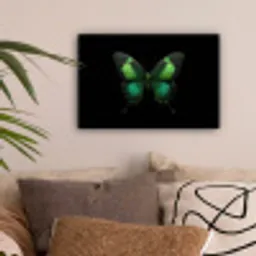 Vlinder - Groen - Opvallend canvas 2cm klein -sfeer1