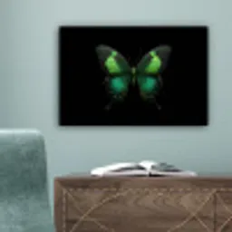 Vlinder - Groen - Opvallend canvas 2cm klein -sfeer4