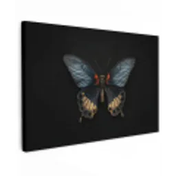 Vlinder - Metaalachtig - Geometrisch patroon canvas 2cm klein -z3d