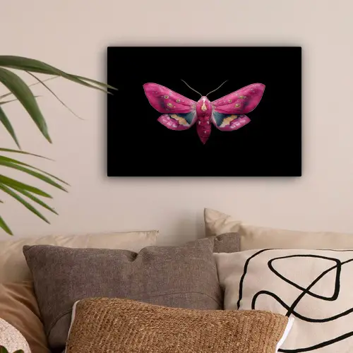 Vlinder - Roze - Nachtvlinder canvas 2cm klein -sfeer1