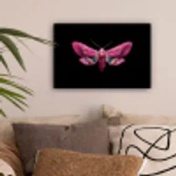 Vlinder - Roze - Nachtvlinder canvas 2cm klein -sfeer1