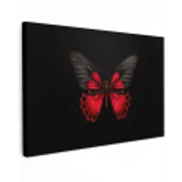 3-2-64 canvas 2cm klein -z3d