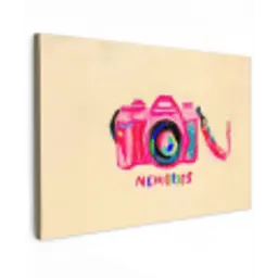 Camera - Memories - Roze - Geschilderd canvas 2cm klein -z3d