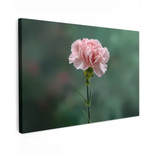 Anjer - Roze - Bloemblaadjes canvas 2cm klein -z3d