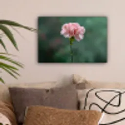 Anjer - Roze - Bloemblaadjes canvas 2cm klein -sfeer1