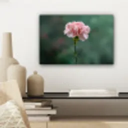 Anjer - Roze - Bloemblaadjes canvas 2cm klein -sfeer6