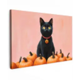 Kat - Pompoen - Roze canvas 2cm klein -z3d