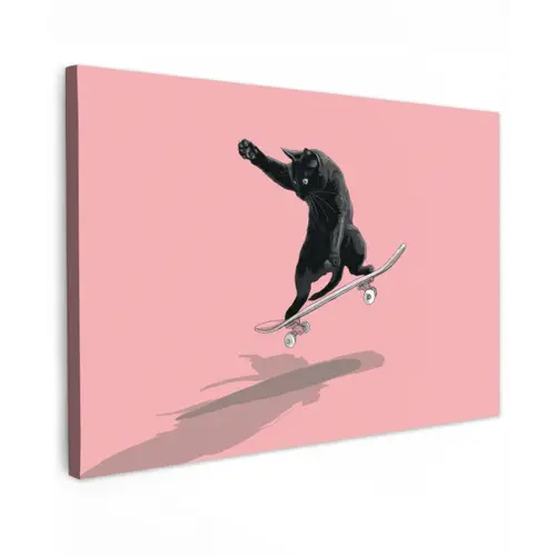 Kat - Skateboard - Roze canvas 2cm klein -z3d