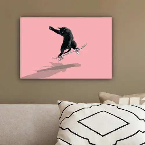 Kat - Skateboard - Roze canvas 2cm klein -sfeer3