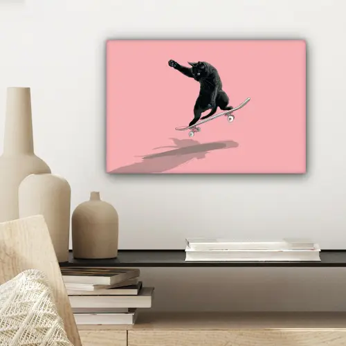 Kat - Skateboard - Roze canvas 2cm klein -sfeer6