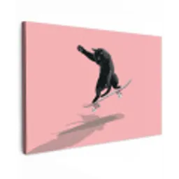 Kat - Skateboard - Roze canvas 2cm klein -z3d