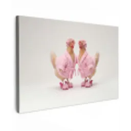 Kippen - Badjas - Krukspelden - Hakken canvas 2cm klein -z3d