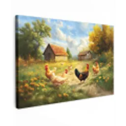 Kippen - Landelijke rust - Natuur canvas 2cm klein -z3d